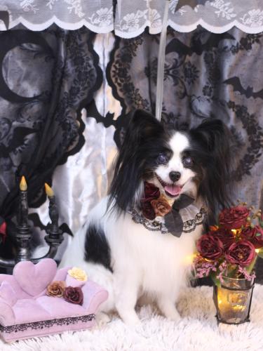 20231001ととくん